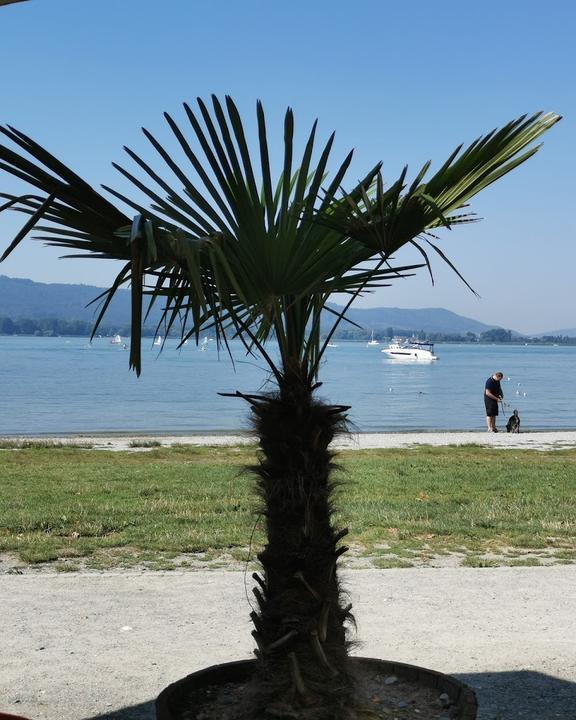 Eis Pavillon am See