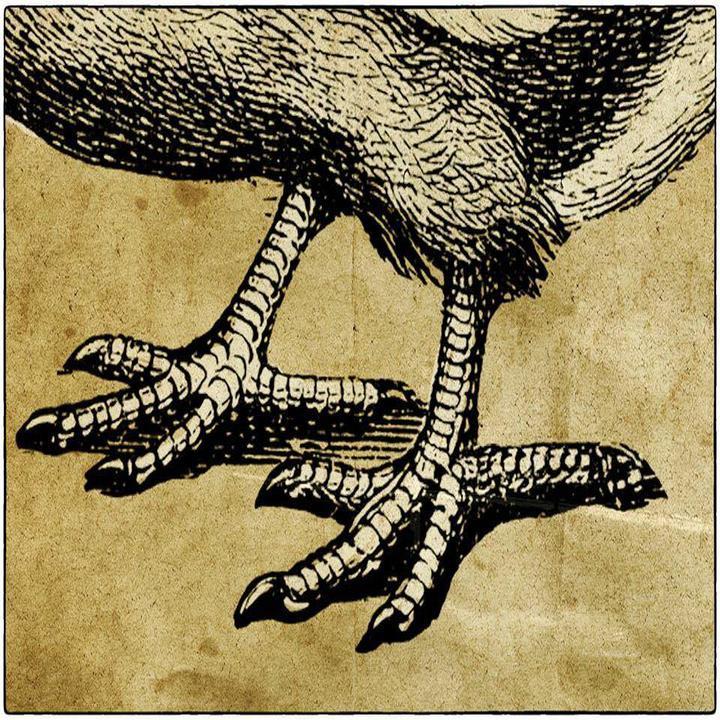 Mano