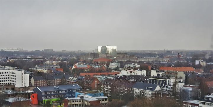 Rohhappchen