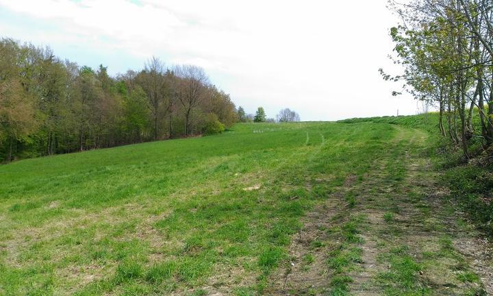 Landgasthof Waldfrieden