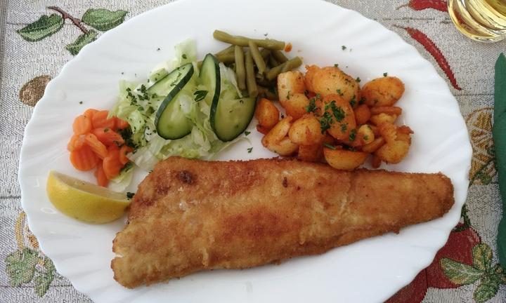 Fischhof