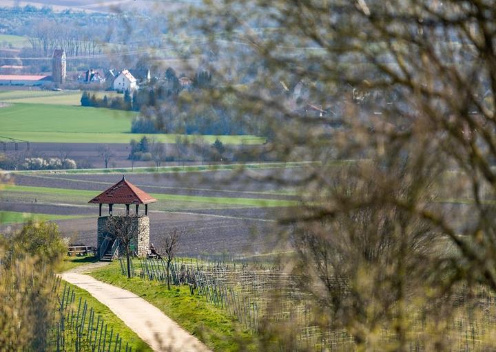 Der Laurentiushof - Weingut Eckert I Mainz