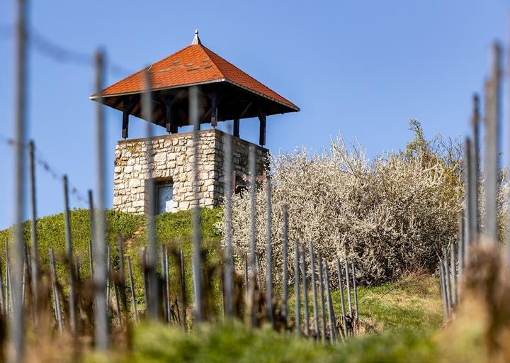 Der Laurentiushof - Weingut Eckert I Mainz