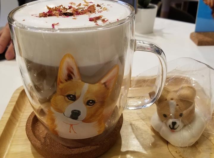 Café der Fragen