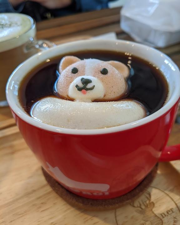 Café der Fragen