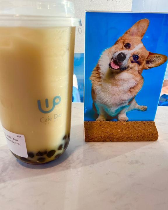 Café der Fragen