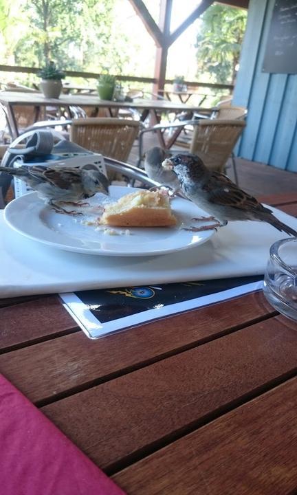 Hofcafe Spaeth