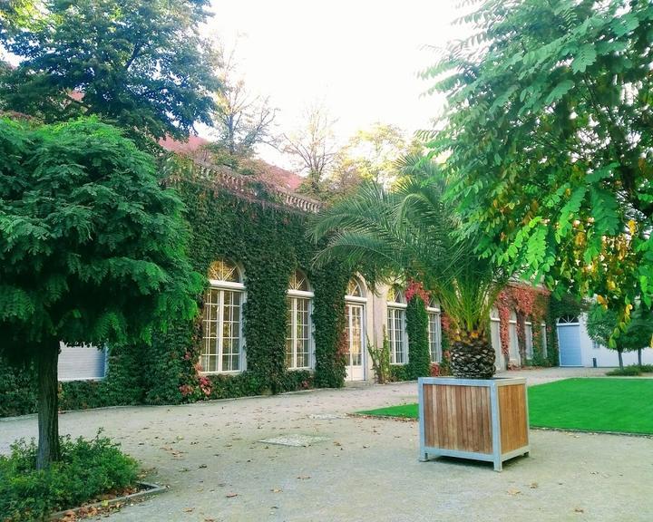 Zitronencafe im Koernerpark