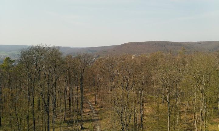 Bismarckturm Kneipe