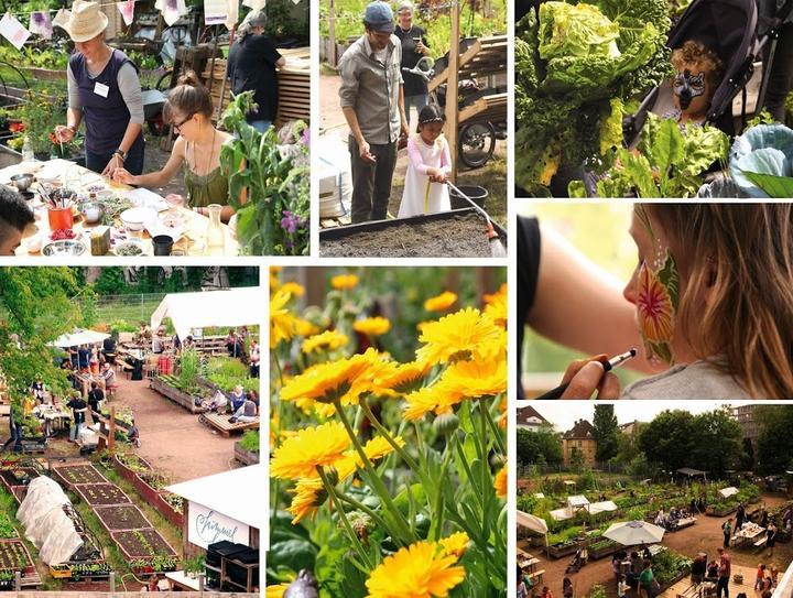 Himmelbeet Cafe
