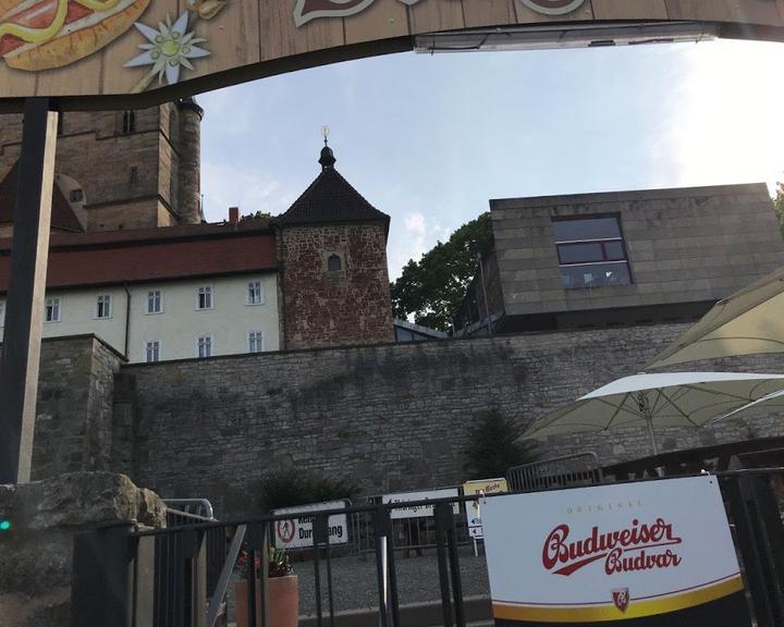 Baumstriezel am Dom