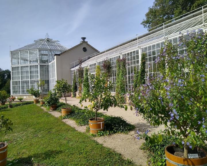 Einkehr am Palmenhaus