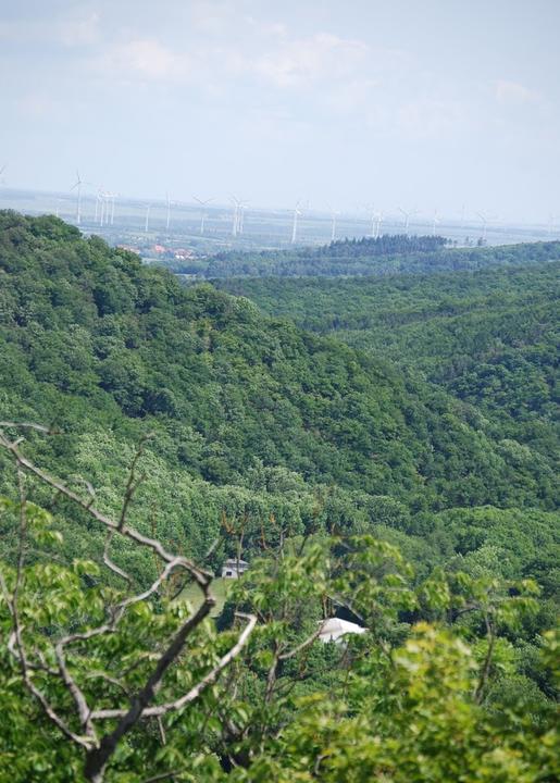 Burg Falkenstein