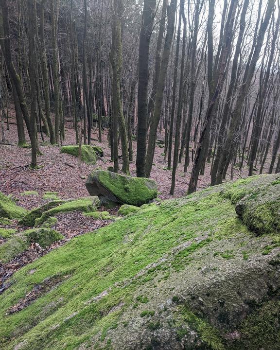 Zur schonen Aussicht