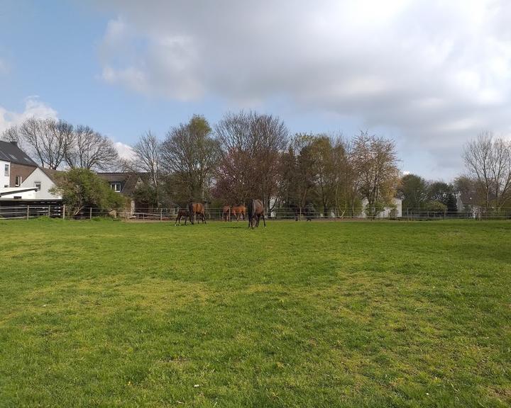 Im kuehlen Grund
