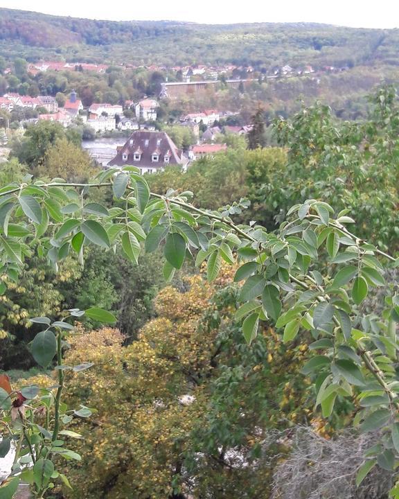 Schone Aussicht