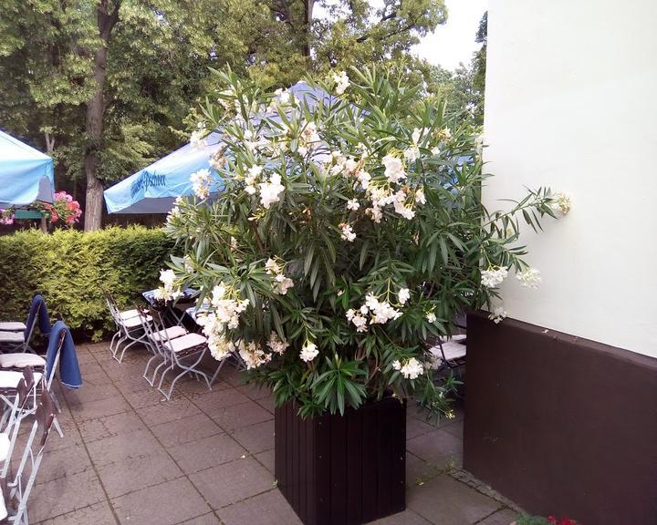Plantagenklause