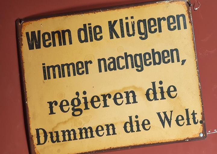 Kuddl