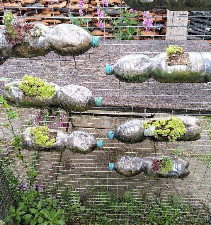 Landcafe Stemmeshof