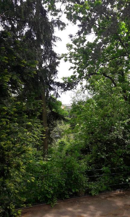 Bergterrasse Marienhohe