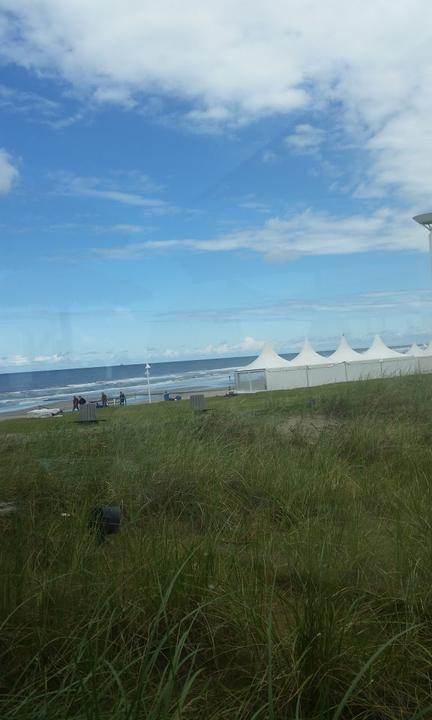 Surfcafe