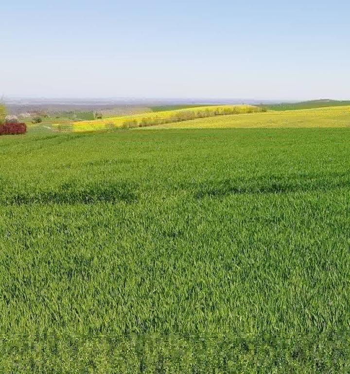 Zum Felsenrundgang