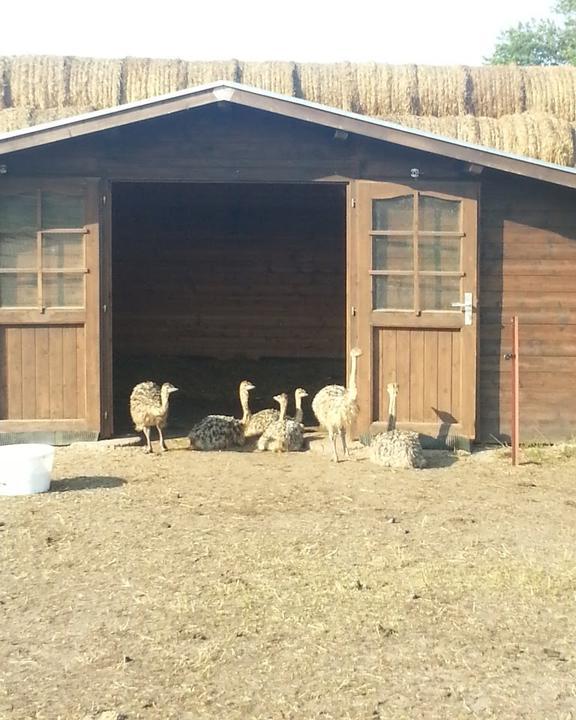 Gasthof Zum Seegrund bei Mahnkes