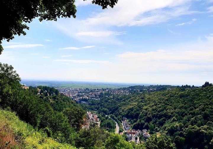 Zum Waldschlossel