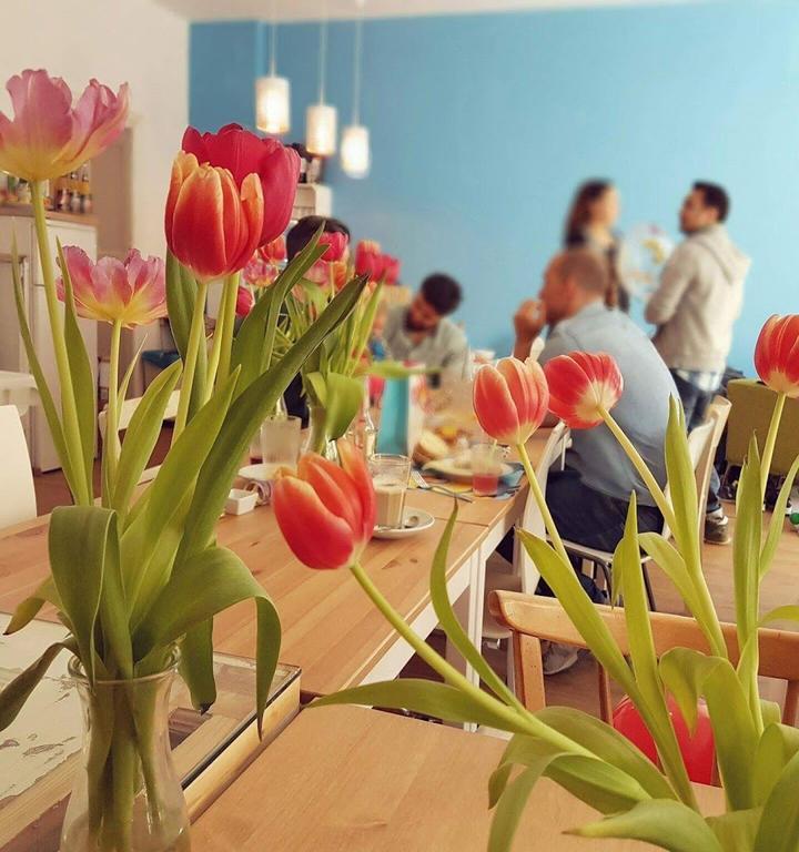 Familiencafe Zaunkonig