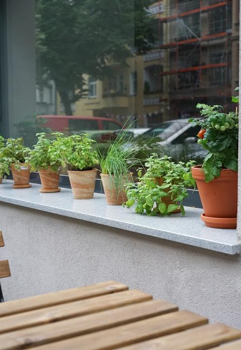 Familiencafe Zaunkonig