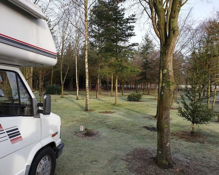 Zum Becklinger Holz