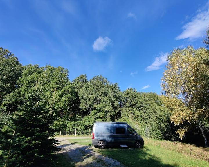 Zum Becklinger Holz