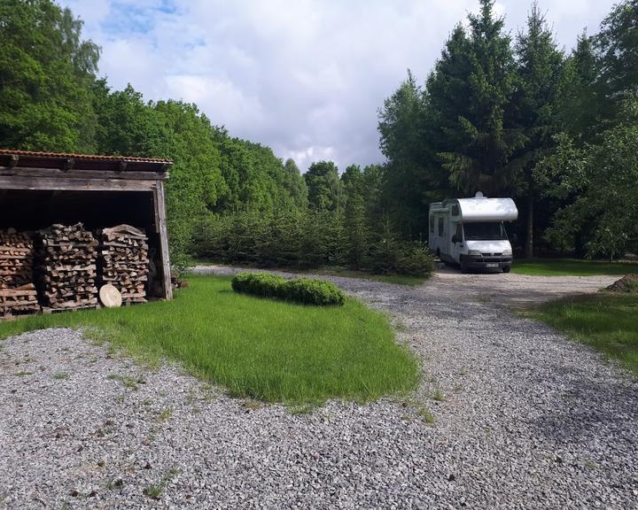 Zum Becklinger Holz