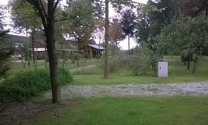 Zum Becklinger Holz