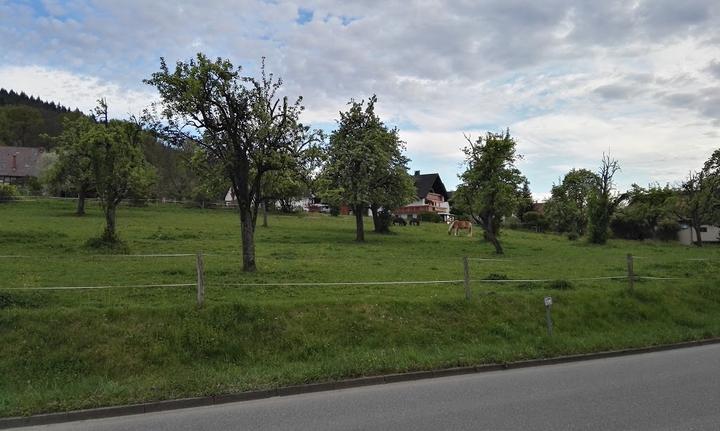 Kandelblick