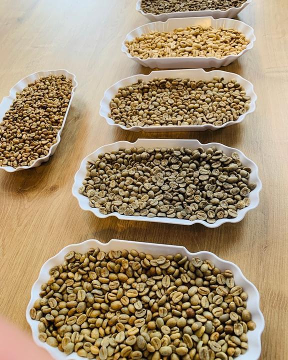 Maldaner Coffee Roasters