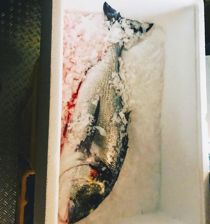 Fischladen Bogenhausen