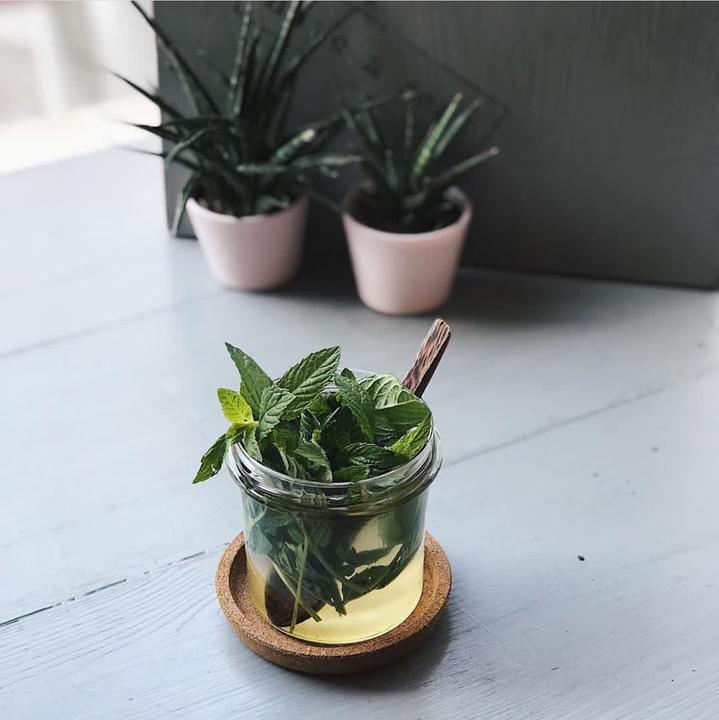 Avocado Club