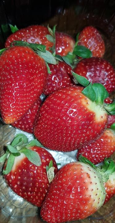Eisdiele Perilli