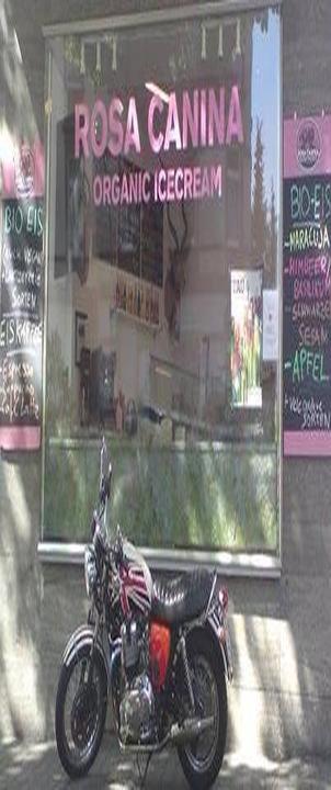 Rosa Canina Organic Icecream