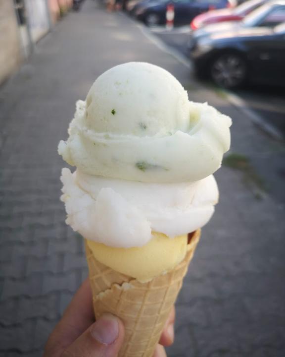 Rosa Canina Organic Icecream