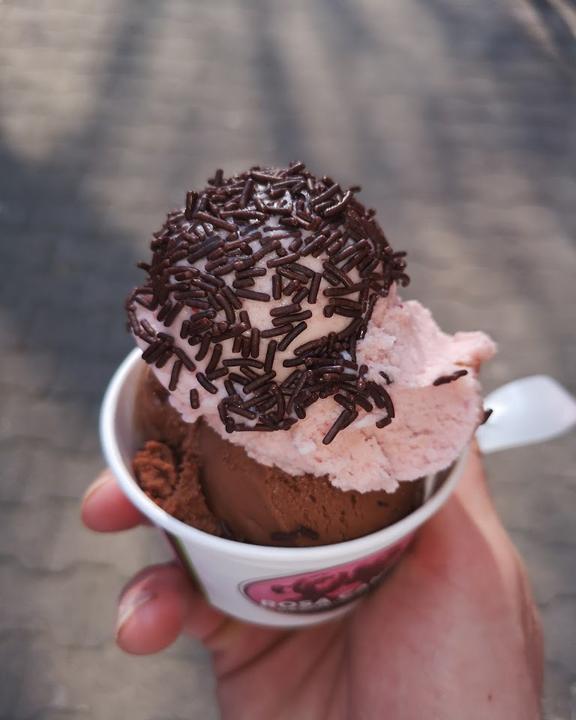 Rosa Canina Organic Icecream