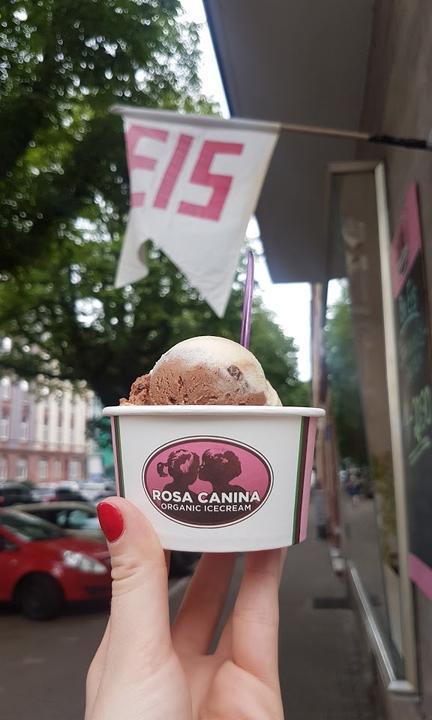 Rosa Canina Organic Icecream