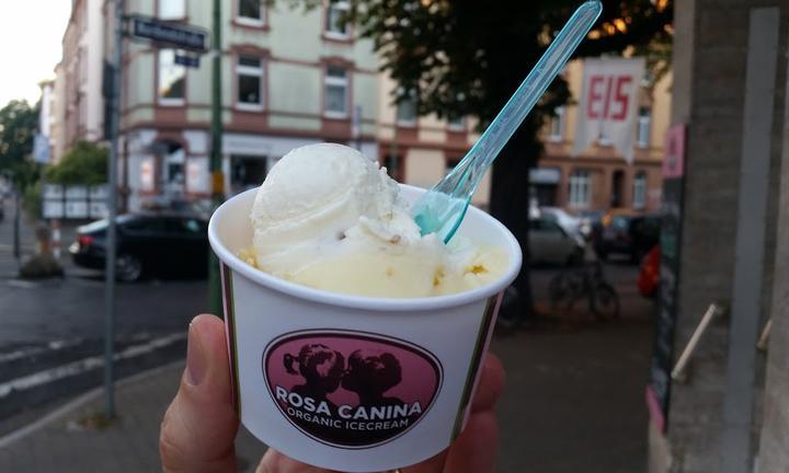 Rosa Canina Organic Icecream