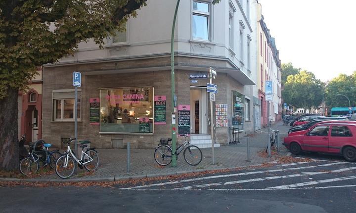 Rosa Canina Organic Icecream