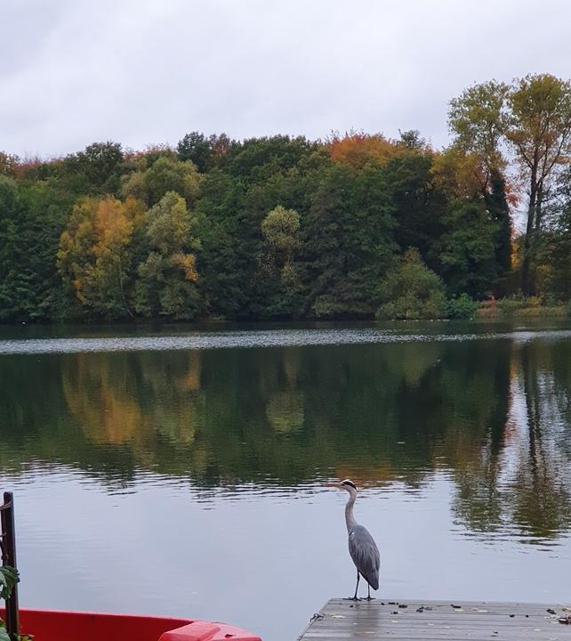 Cafe-Restaurant am Rubbenbruchsee