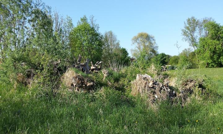 Turneralm, Rosenheim Oberwöhr