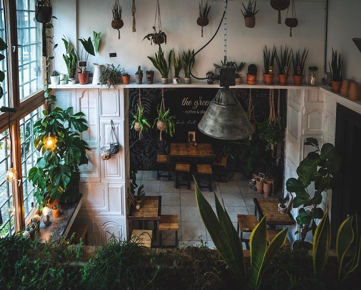 The Greens - Coffee and Plants