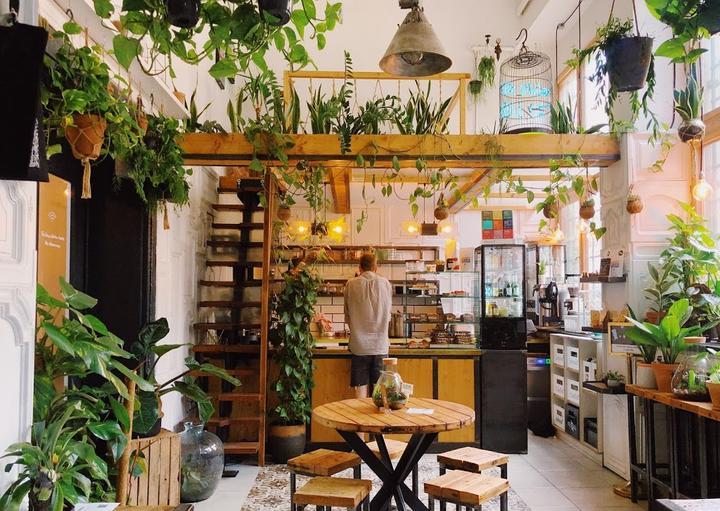 The Greens - Coffee and Plants