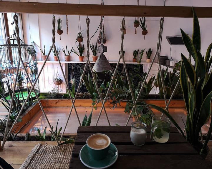 The Greens - Coffee and Plants